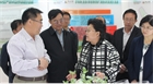市委副書記、代市長艾麗華來我公司考察、調(diào)研