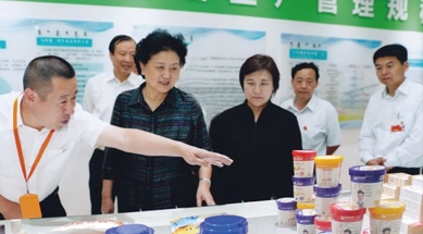 原中共中央政治局委員、國務(wù)院副總理劉延?xùn)|視察我公司